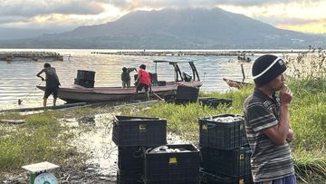 BRIN Ungkap Penyebab Kematian Massal Ikan di Danau Batur: Letupan Belerang dan Pencampuran Kolom Air