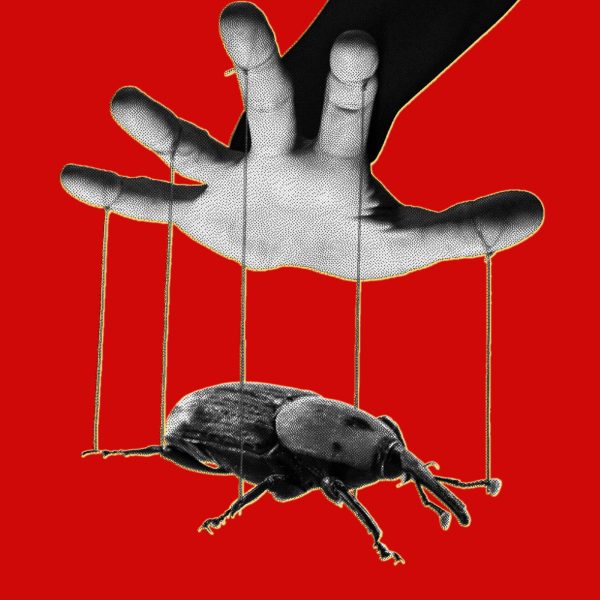 Kebocoran PHP Memperlihatkan Bagaimana AI Mempermudah Eksploitasi Bug