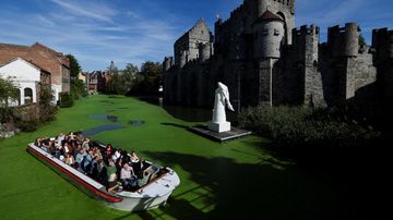Gelombang Panas Eropa Memicu Ledakan Alga di Kanal Belgia: Teknologi Pemantauan Iklim Perlu Ditingkatkan